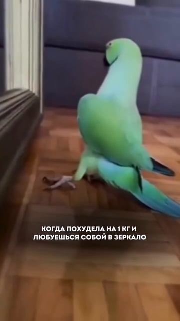 Когда похудела на 1 кг....🦜💅