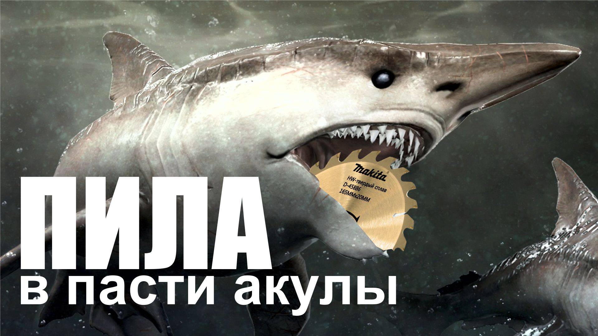 Пила в пасти акулы