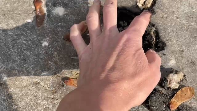 Новая лыжероллерная трасса в Починках стала опасной для занятий спортом #эксклюзив