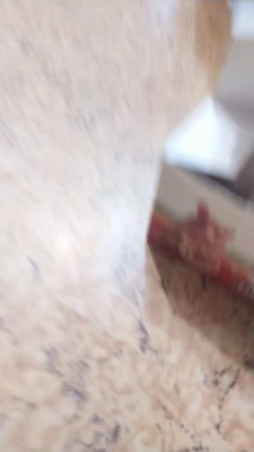 какое лакомство лучше давать хомякам