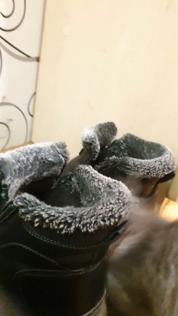 14. 