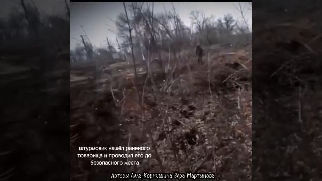 штурмовикам .