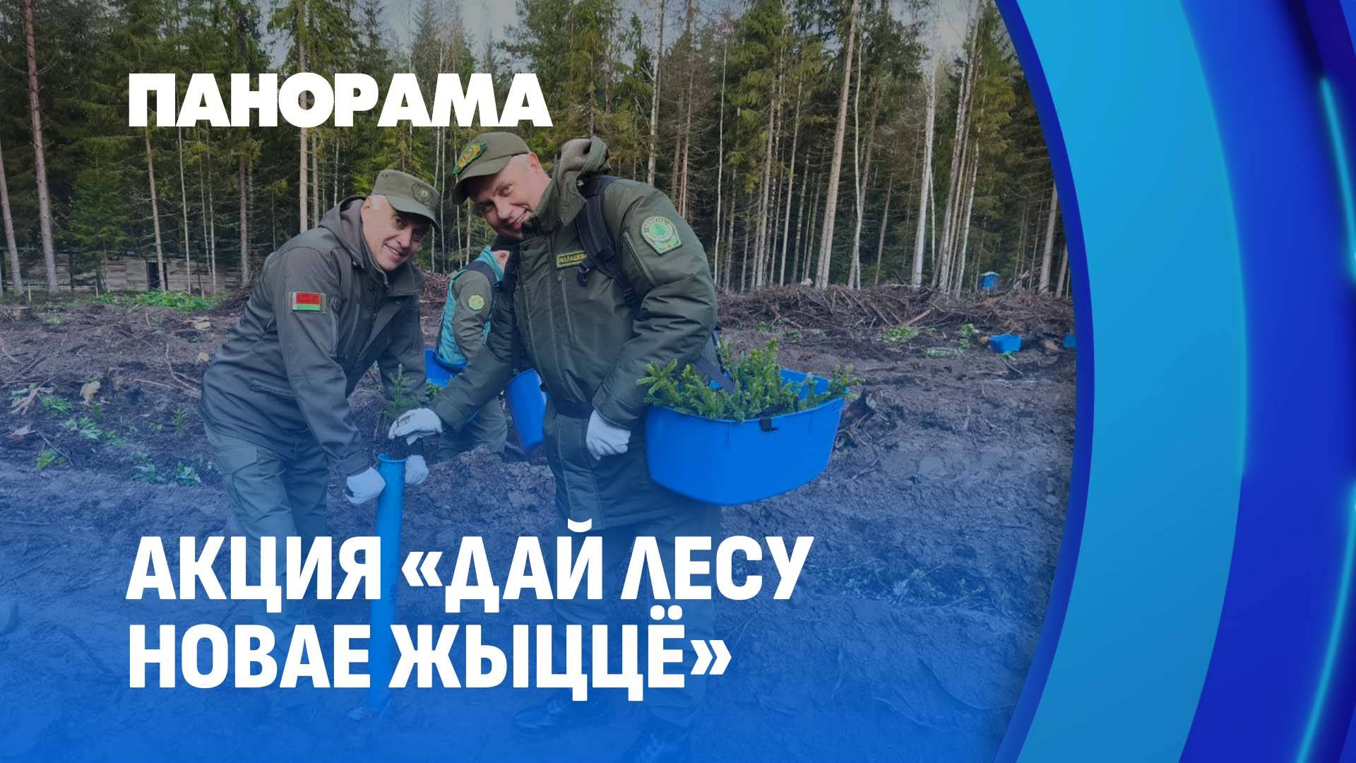 Дать лесу новую жизнь! В Беларуси прошел единый день озеленения. Панорама