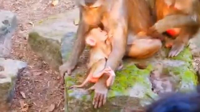 Женское воспитание. Либби...   1000037518.mp4