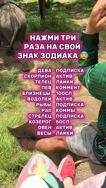 так что же...?