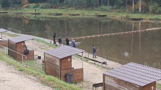 Forest Fishing 11.10.25