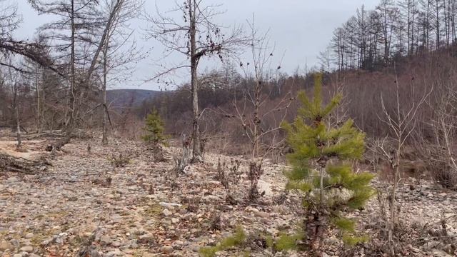 Поиск таёжного озеро