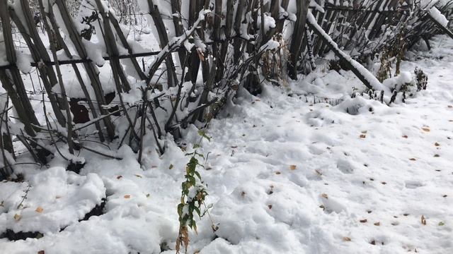 Зима пришла. Спасаю дачное имущество