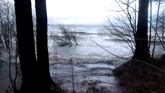 baLtic stoRm 360p-hQ шторм на Балтике Осенней в Лахте Lahta Pietari 