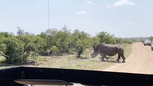 South Africa - 2022 Trip