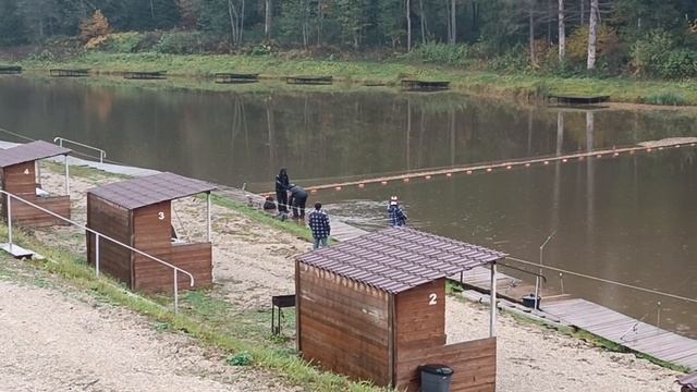 Forest Fishing 11.10.25