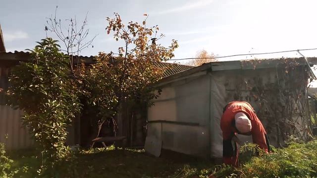 2025год  работе