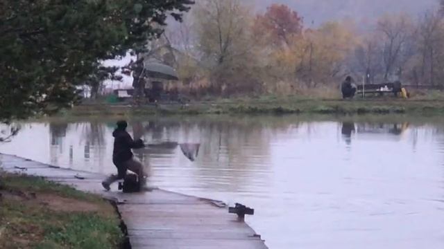 поимка форели на спиннинг