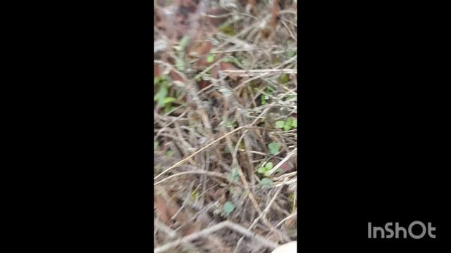 1000136924.mp4