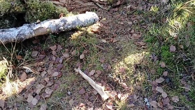 подготовка к промыслусевер прикамья