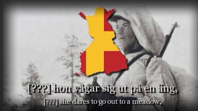 Säkkijärven Polkka на Шведском языке