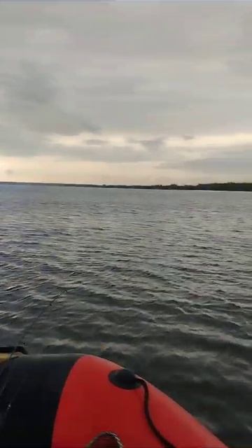 1000007745.mp4