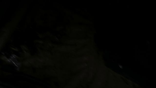 11.10.2025.Усадьба Парк Кино Ляхово. Парк Сибирских Кошек.Визитная карточка. Домодедово.Московская о