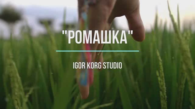 Ромашка _  Igor Korg  Елена Солонина