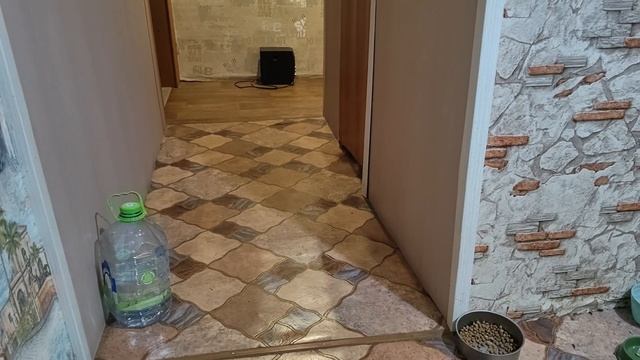БЕСОВЩИНА КАКАЯ-ТО МОИ КОТЫ ЧТО ИЛИ КОГО-ТО В КВАРТИРЕ ВИДЯТ И ЧУВСТВУЮТ!?