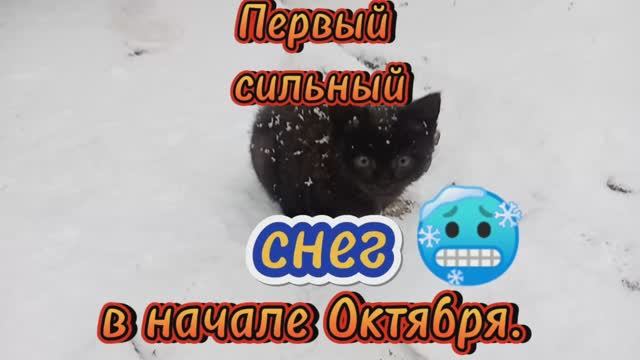 У нас первый сильный снег!🥶