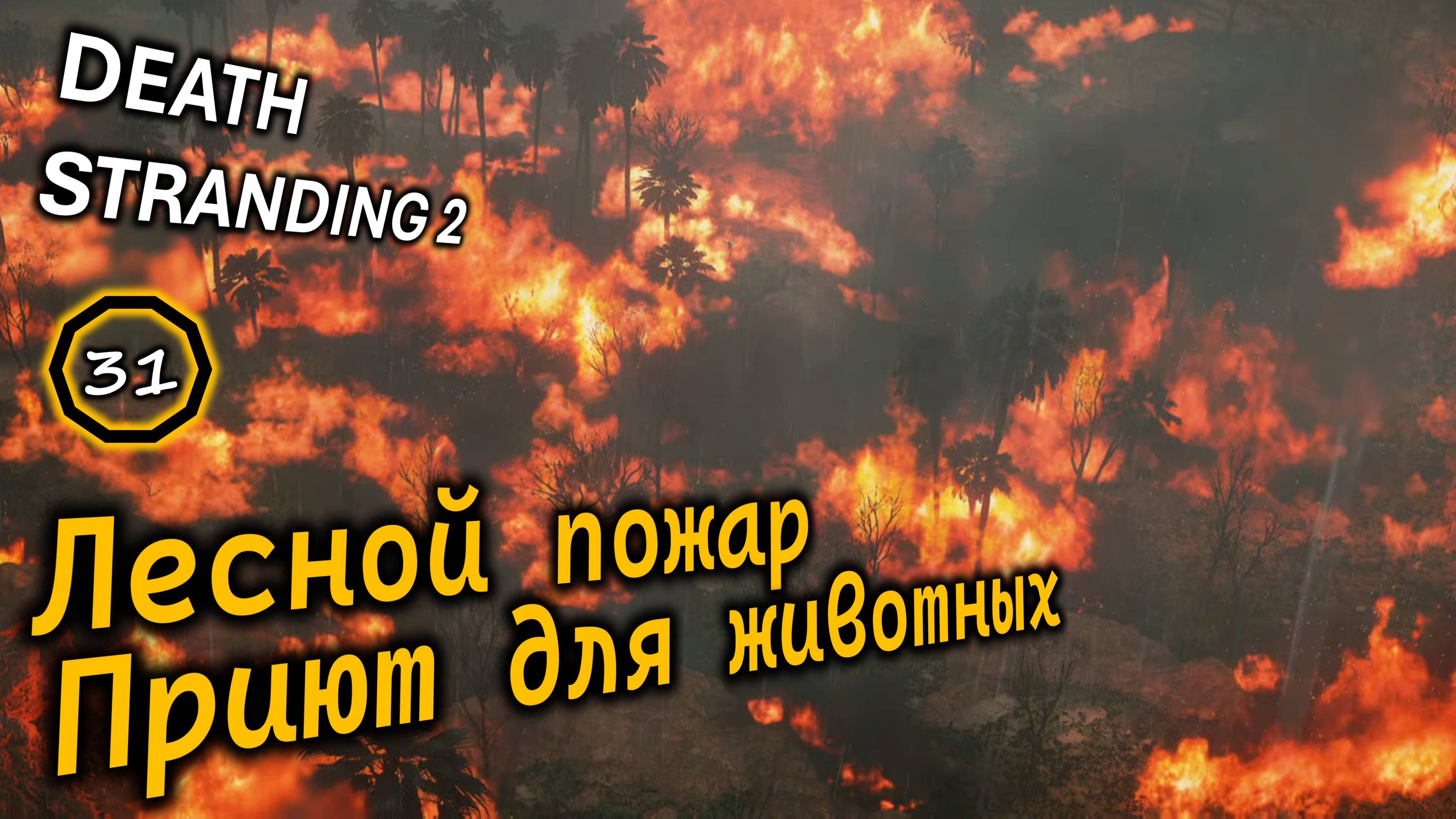 DEATH STRANDING 2 | Спасение кенгуру | Приют для животных | Заказ #15