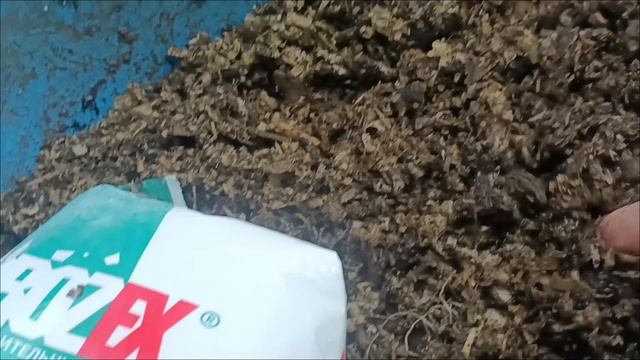 Иван Русских, черви, мясо и алебастр
