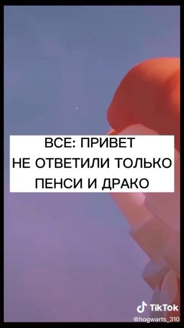 #caxapok_stori