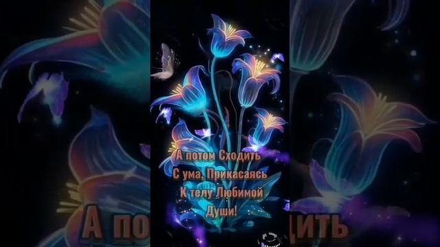 Video_9679419345658.mp4