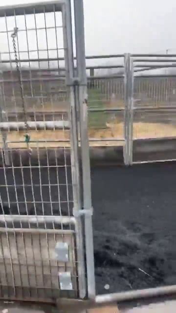 Увлекательный аттракцион.mp4