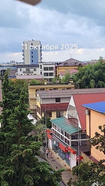 Погода в Сочи 11 октября 2025