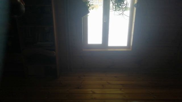 VID_20251011_122636.mp4