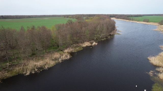 Рощино