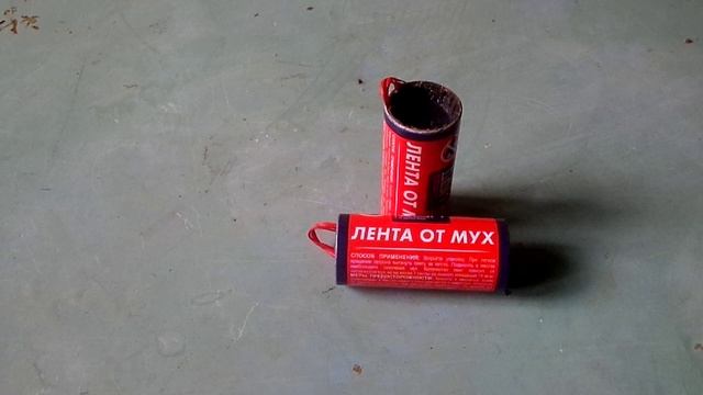Когда в квартире  ,теплицы    завелись мелкие мухи и моль от них можно избавиться   лентами от мух