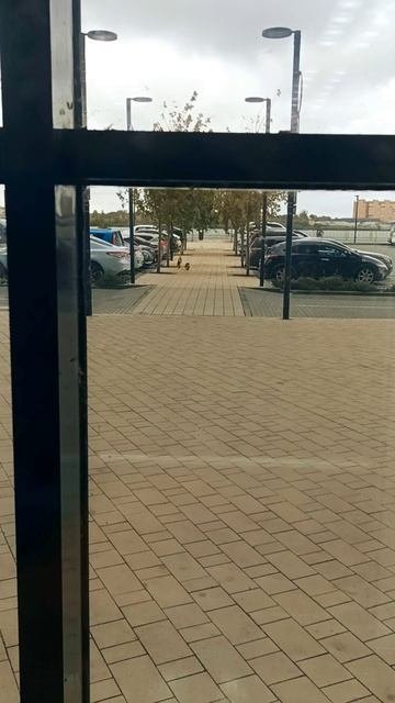 Пять граней очарования и пять теней меланхолии осени.