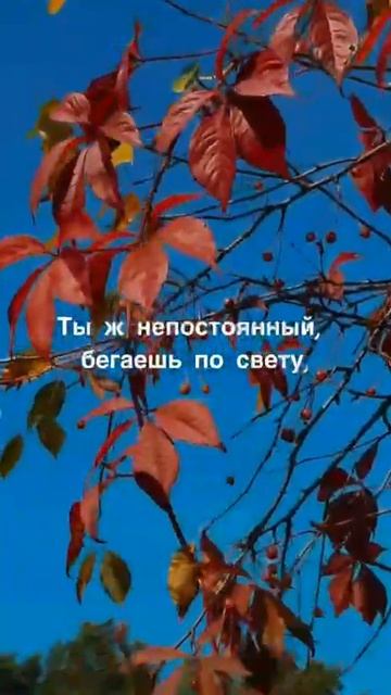 В подворотне Осень с ветром танцевала