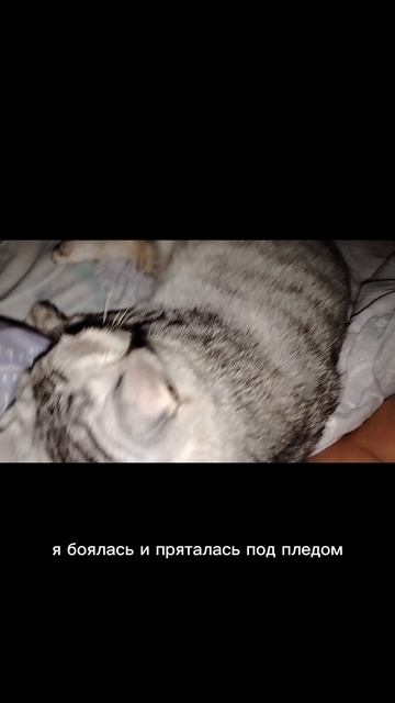 1000024582.mp4
