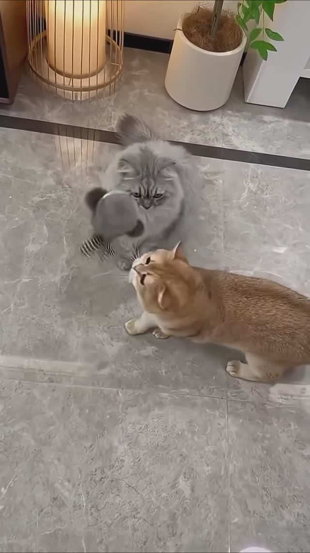 Забавная игрушка для котиков