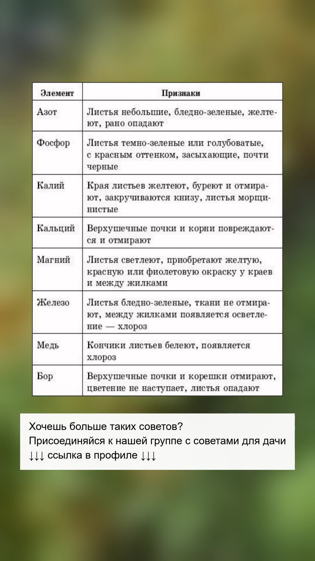Как распознать нехватку элементов в растениях?