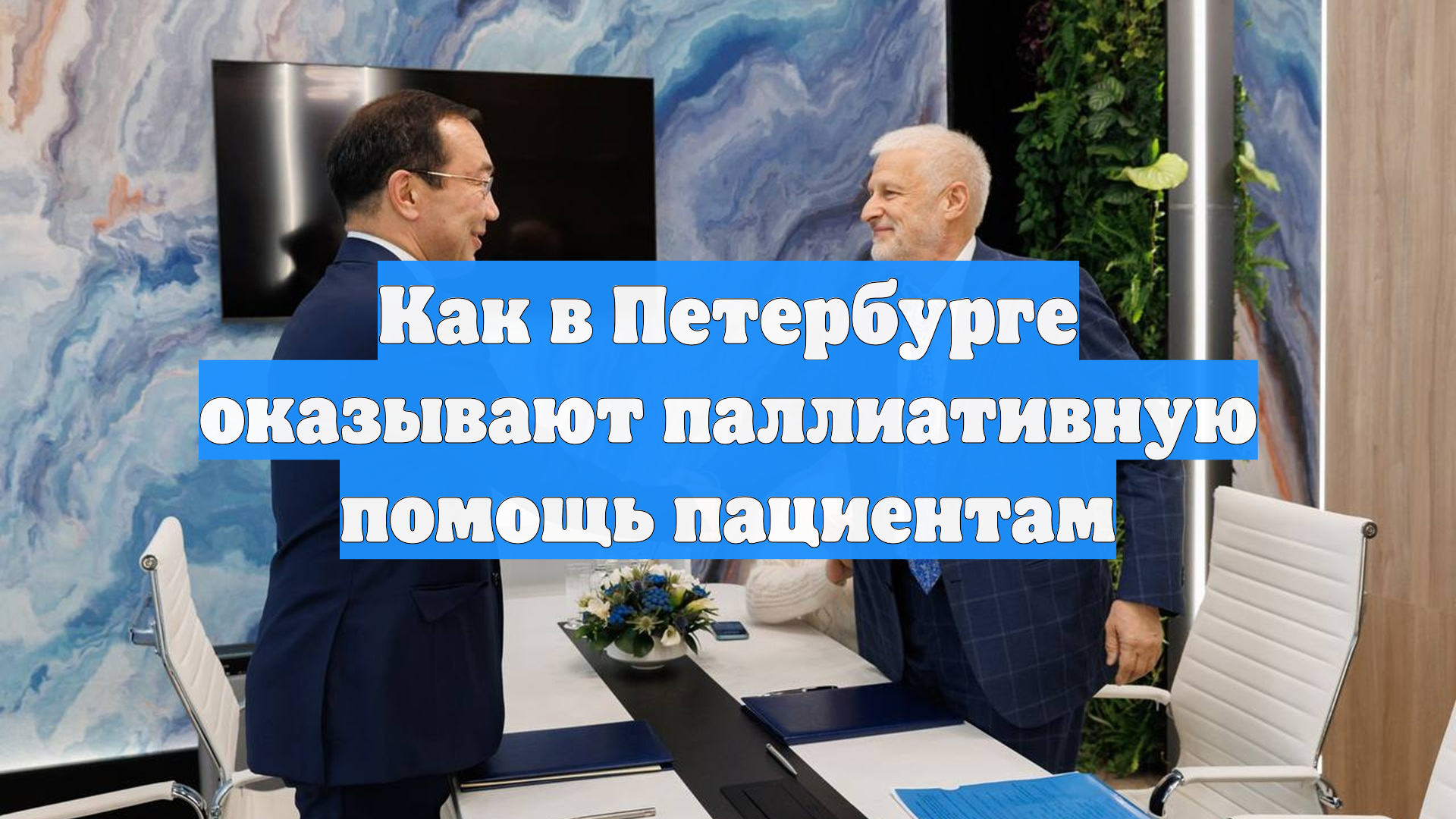 Как в Петербурге оказывают паллиативную помощь пациентам