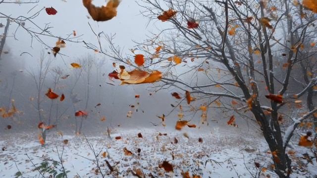 Кладовая природы