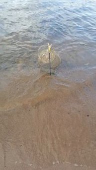 Рыбалка старая