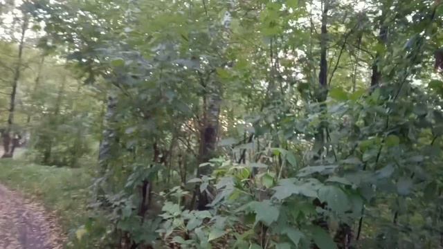 1000008211.mp4