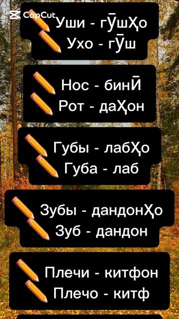 руский таджикиский силовар 🇷🇺 🇹🇯