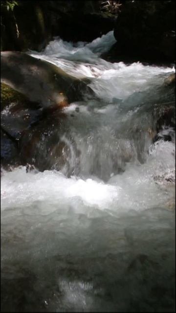 речка лес Ведено