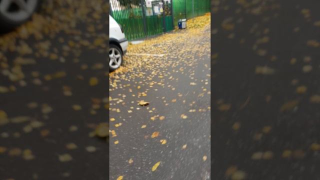 20251011_130249.mp4