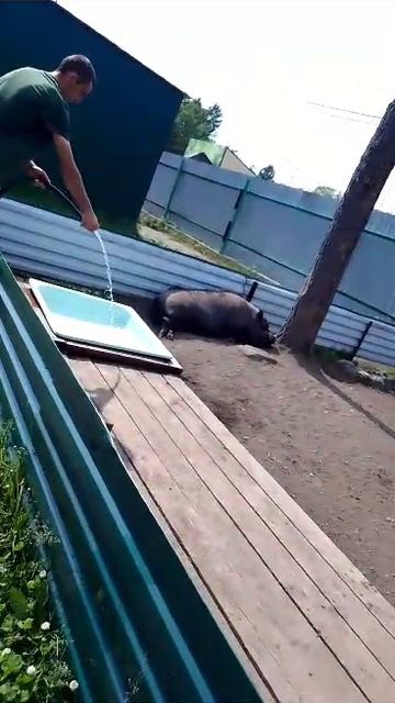 отправь своему другу Артёму