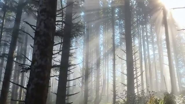 Геннадий Филиппов, V-Love Music-Сентябрь