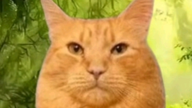 создаю скин в каталоге