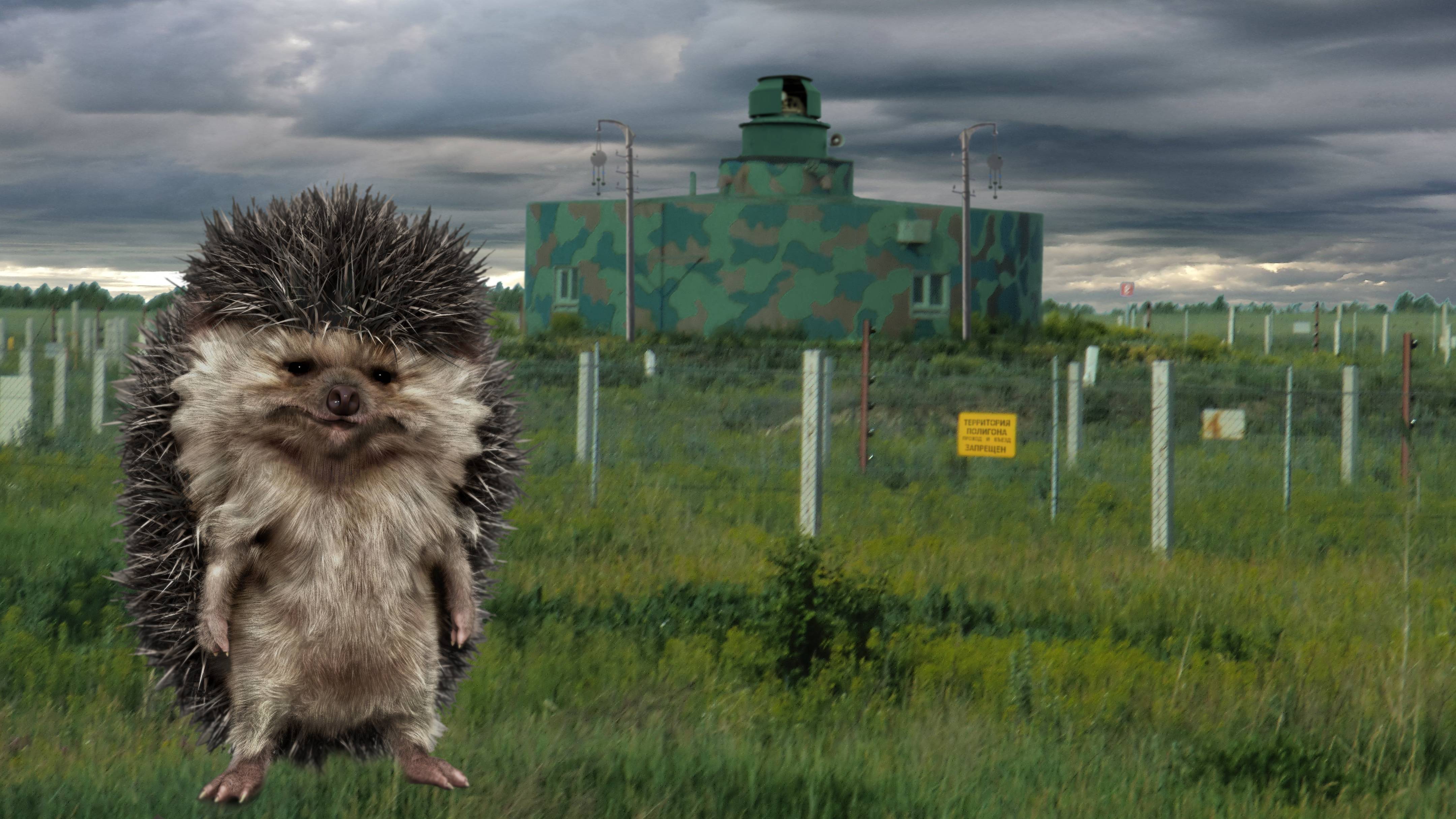 Ловец ежей или СКП «ЁЖ-500».